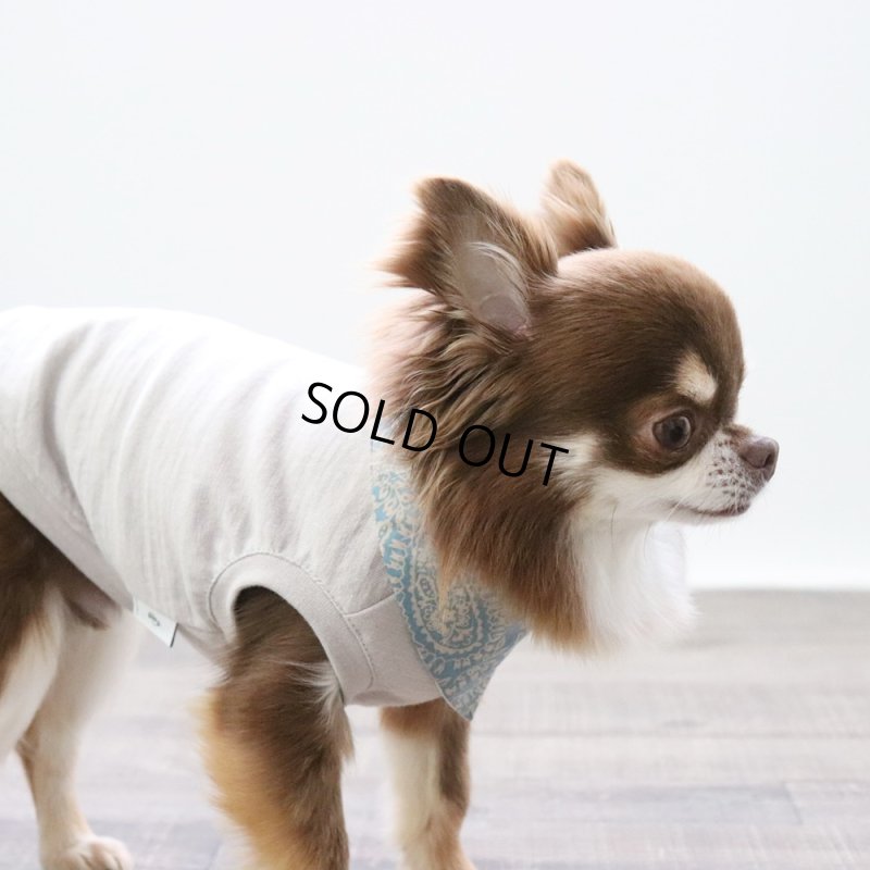 画像11: マルチスラブ生地のタンクトップ（グレージュ） (11)