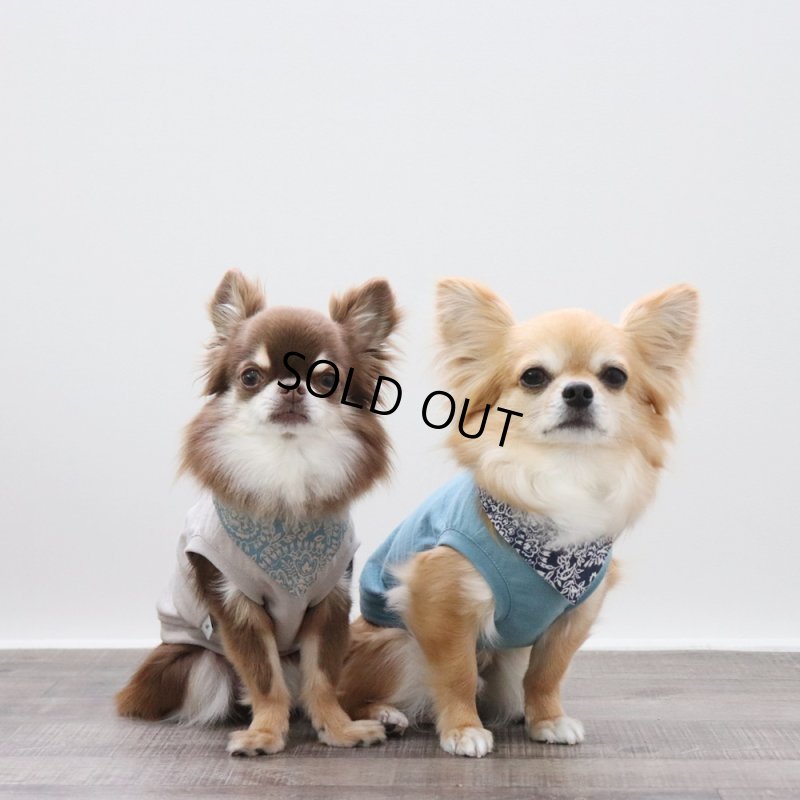 画像12: マルチスラブ生地のタンクトップ（グレージュ） (12)