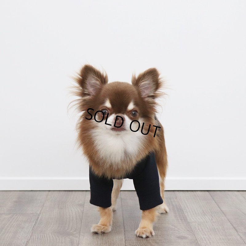 画像4: ブルゾン（ネイビー×ネイビーギンガム）　※撥水機能あり (4)