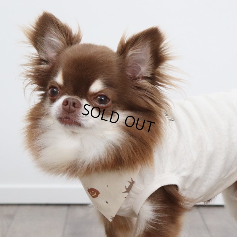 画像3: バンダナ（2種類）　ハロウィンアイテム期間限定販売 (3)