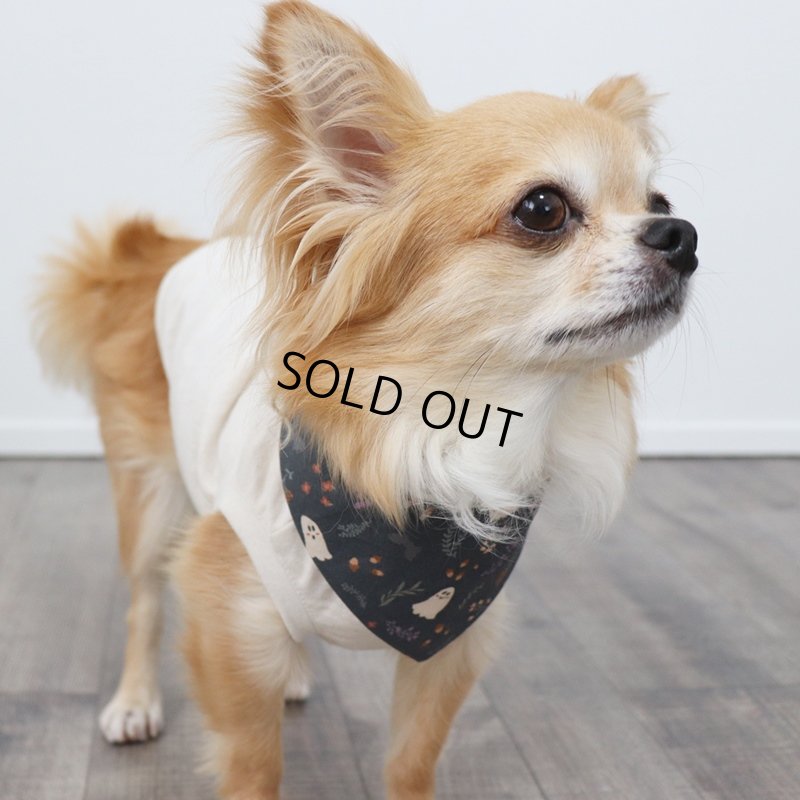 画像8: バンダナ（2種類）　ハロウィンアイテム期間限定販売 (8)