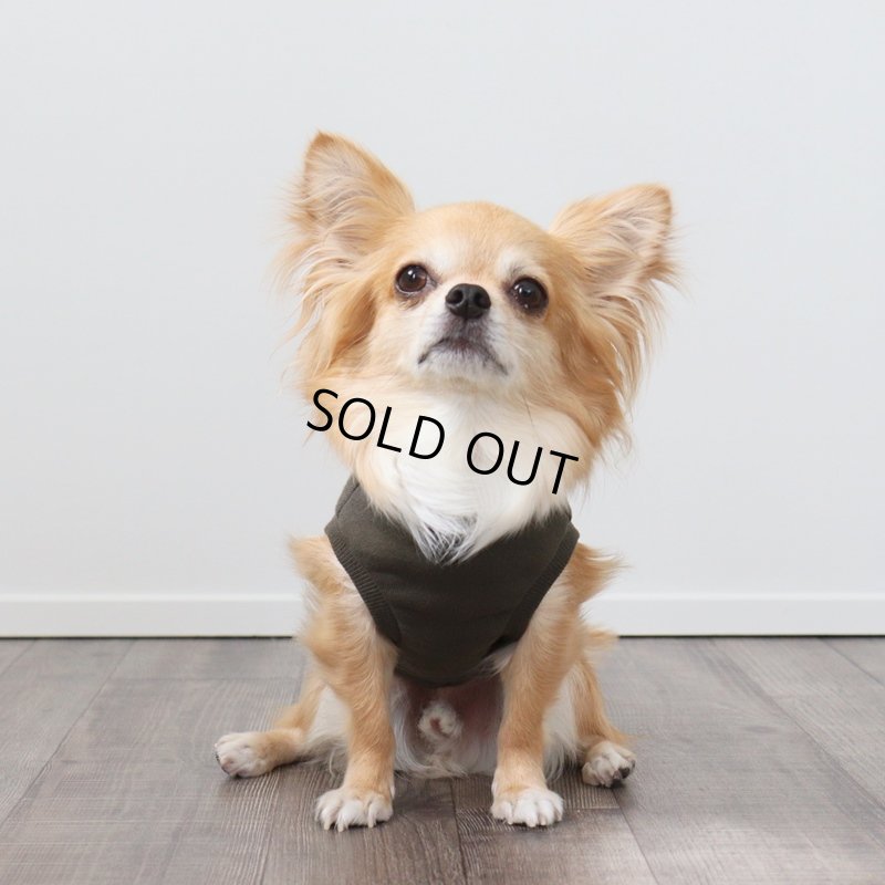 画像3: ezパーカー（カーキ） (3)