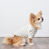 スモーキーボーダーカットソー（モスグリーン）