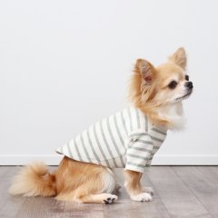 スモーキーボーダーカットソー（モスグリーン）