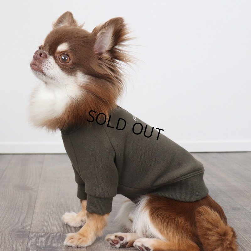 画像9: ヴィンテージ風トレーナー（カーキ） (9)