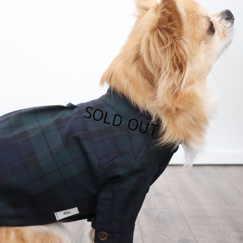 画像9: バンドカラーシャツ（ブラックウォッチ） (9)