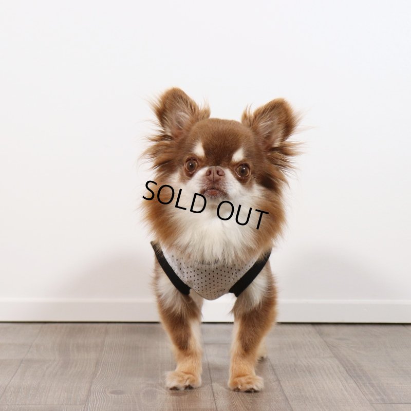 画像6: [完成品] 夏に着るメッシュタンクトップ（ホワイト×ブラック） (6)