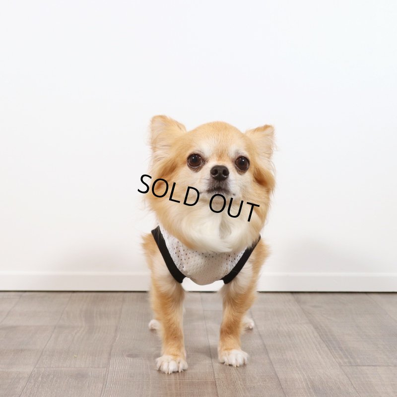 画像13: [完成品] 夏に着るメッシュタンクトップ（ホワイト×ブラック） (13)