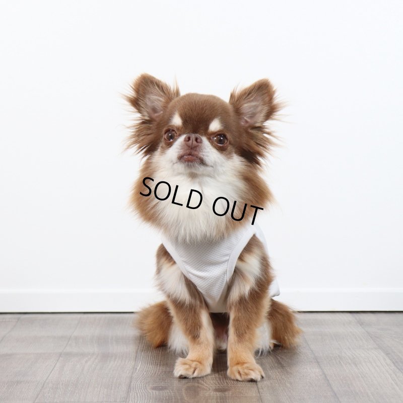 画像9: 夏に着る接触冷感でウェットクールなタンクトップ（ホワイト） (9)