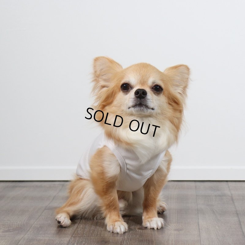 画像5: 夏に着る接触冷感でウェットクールなタンクトップ（ホワイト） (5)