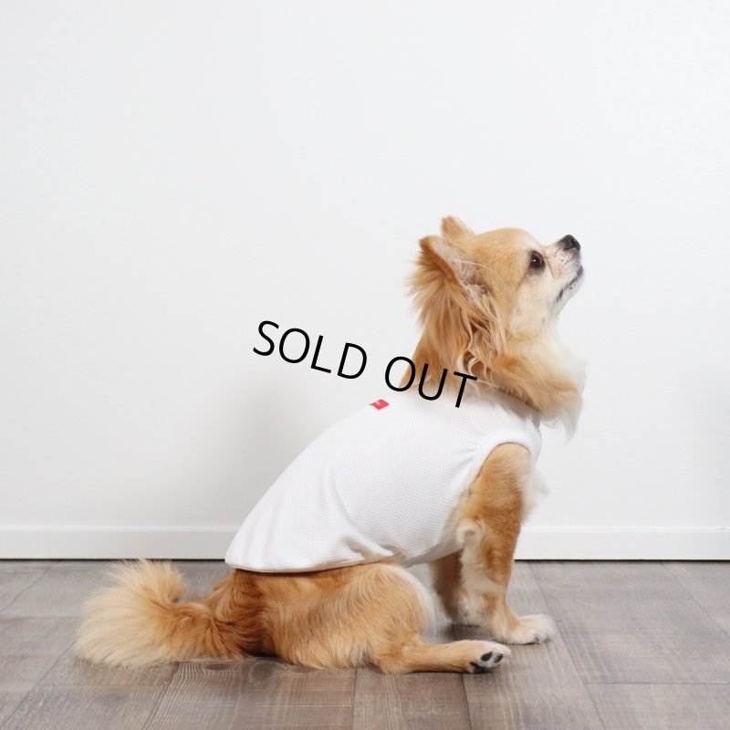 画像3: 夏に着る接触冷感でウェットクールなタンクトップ（ホワイト） (3)