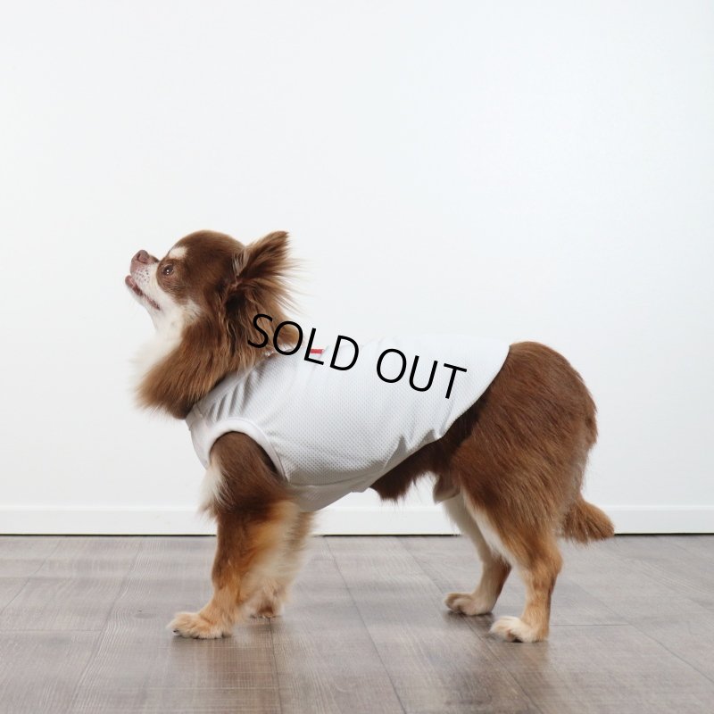 画像10: 夏に着る接触冷感でウェットクールなタンクトップ（ホワイト） (10)