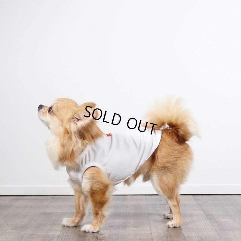 画像6: 夏に着る接触冷感でウェットクールなタンクトップ（ホワイト） (6)