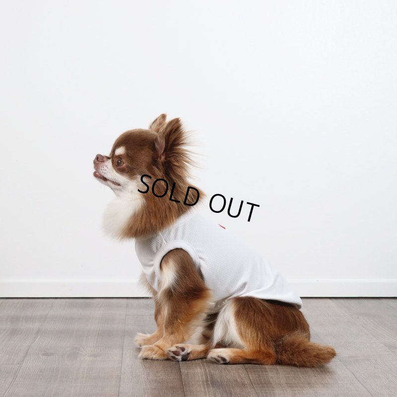 画像11: 夏に着る接触冷感でウェットクールなタンクトップ（ホワイト） (11)