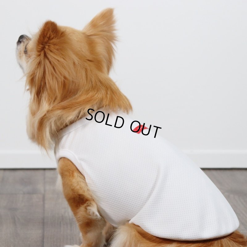 画像19: 夏に着る接触冷感でウェットクールなタンクトップ（ホワイト） (19)