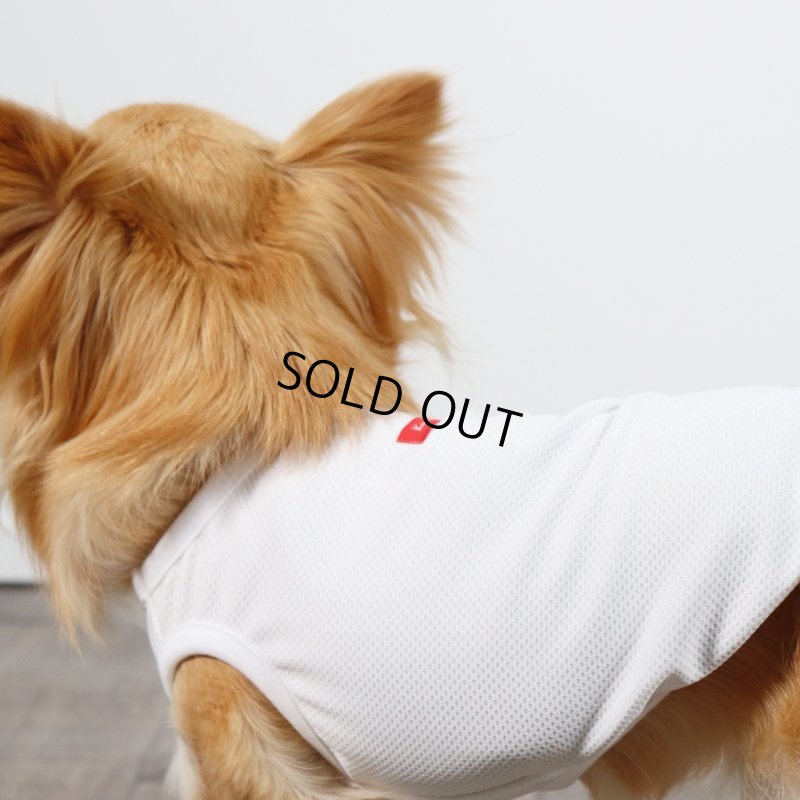 画像18: 夏に着る接触冷感でウェットクールなタンクトップ（ホワイト） (18)