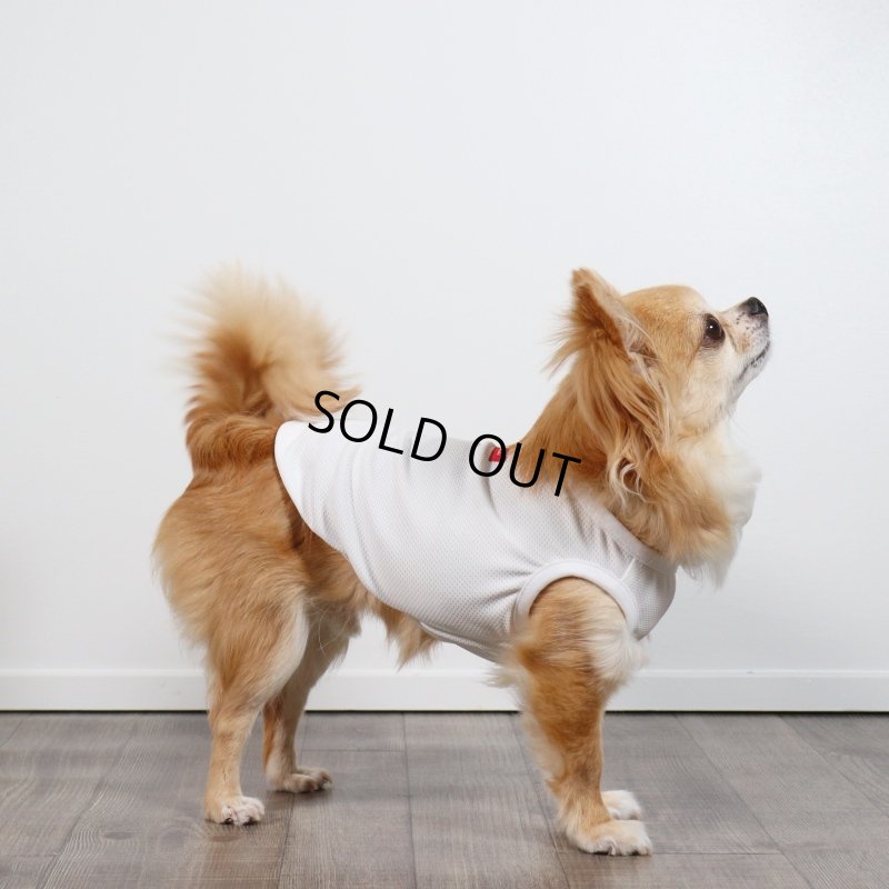 画像2: 夏に着る接触冷感でウェットクールなタンクトップ（ホワイト） (2)