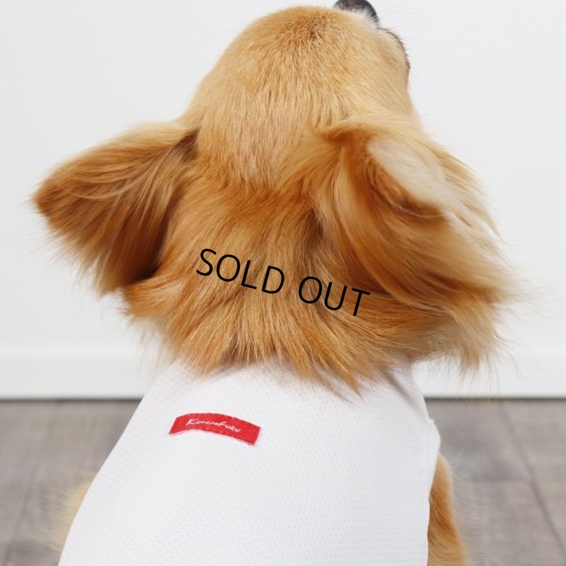 画像14: 夏に着る接触冷感でウェットクールなタンクトップ（ホワイト） (14)