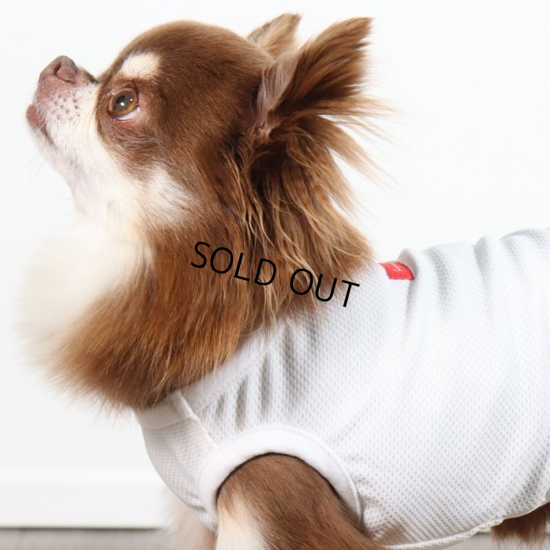 画像24: 夏に着る接触冷感でウェットクールなタンクトップ（ホワイト） (24)