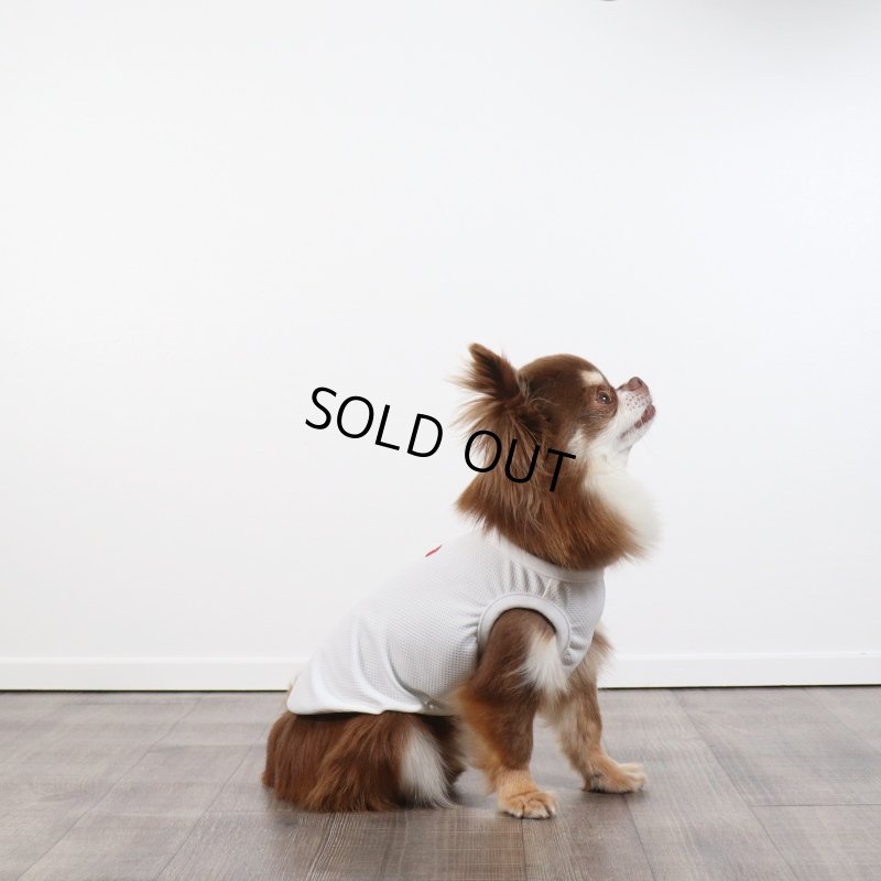 画像7: 夏に着る接触冷感でウェットクールなタンクトップ（ホワイト） (7)