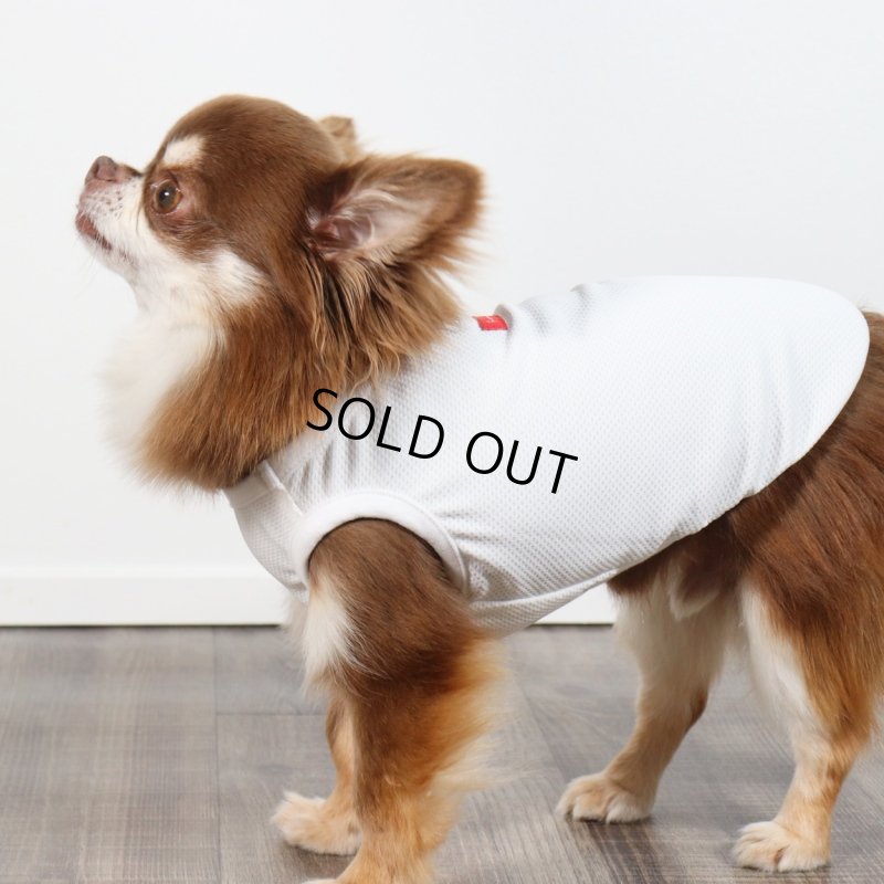 画像21: 夏に着る接触冷感でウェットクールなタンクトップ（ホワイト） (21)