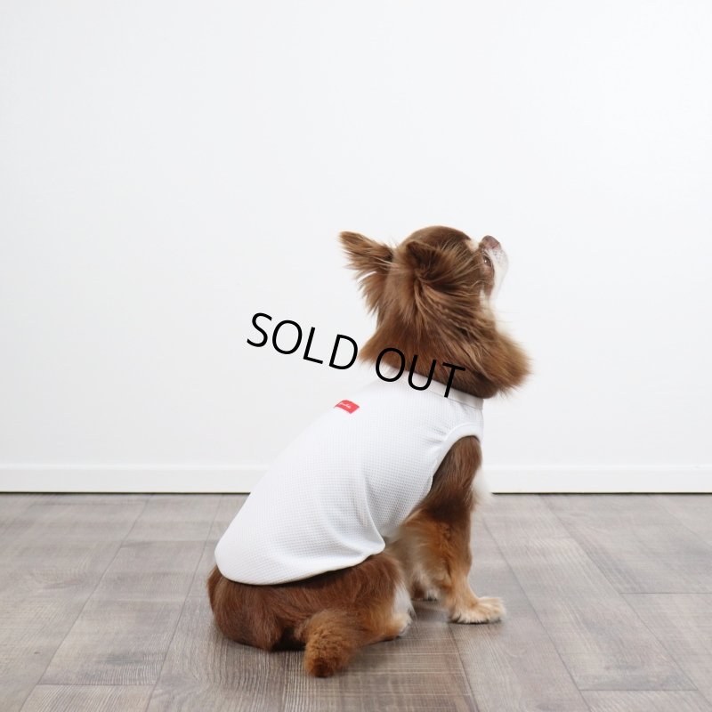 画像12: 夏に着る接触冷感でウェットクールなタンクトップ（ホワイト） (12)