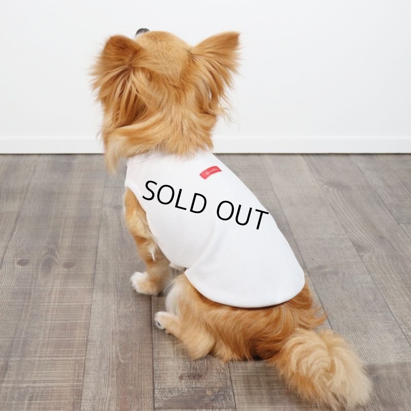 画像20: 夏に着る接触冷感でウェットクールなタンクトップ（ホワイト） (20)