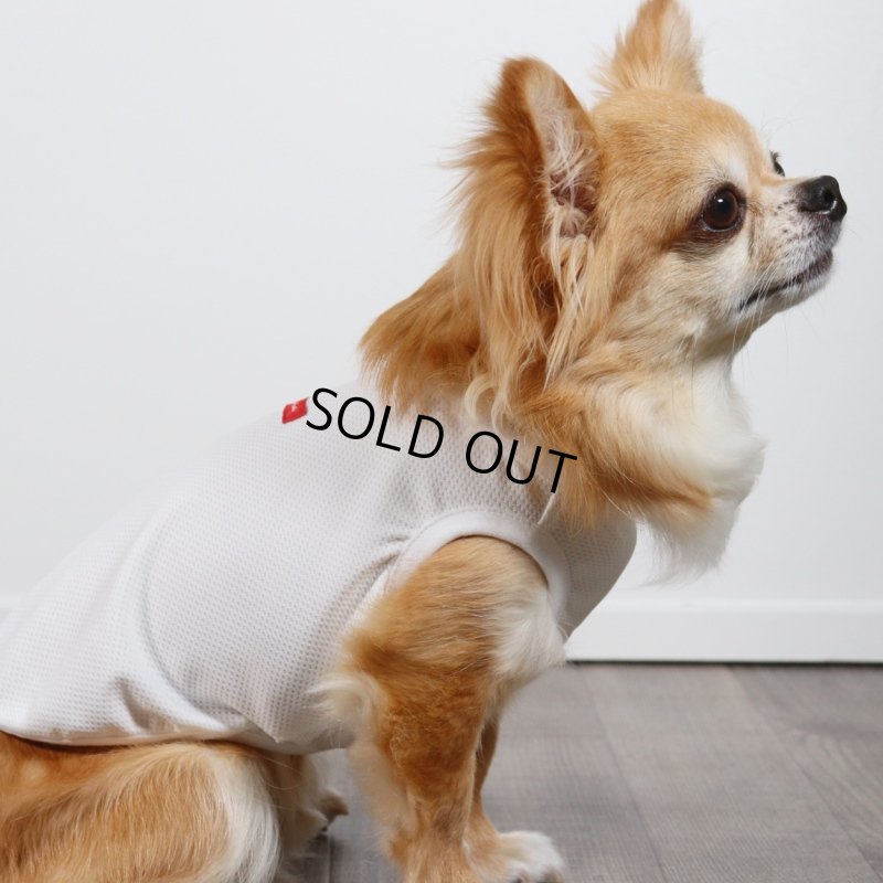 画像16: 夏に着る接触冷感でウェットクールなタンクトップ（ホワイト） (16)