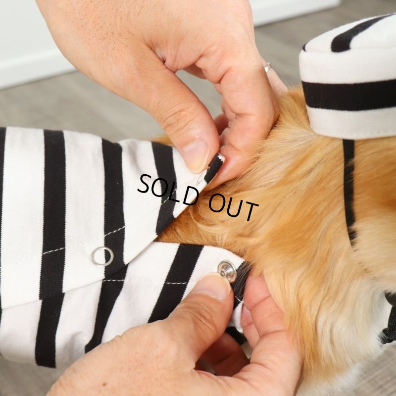 画像16: 囚人3点セット　ハロウィンアイテム期間限定販売 (16)