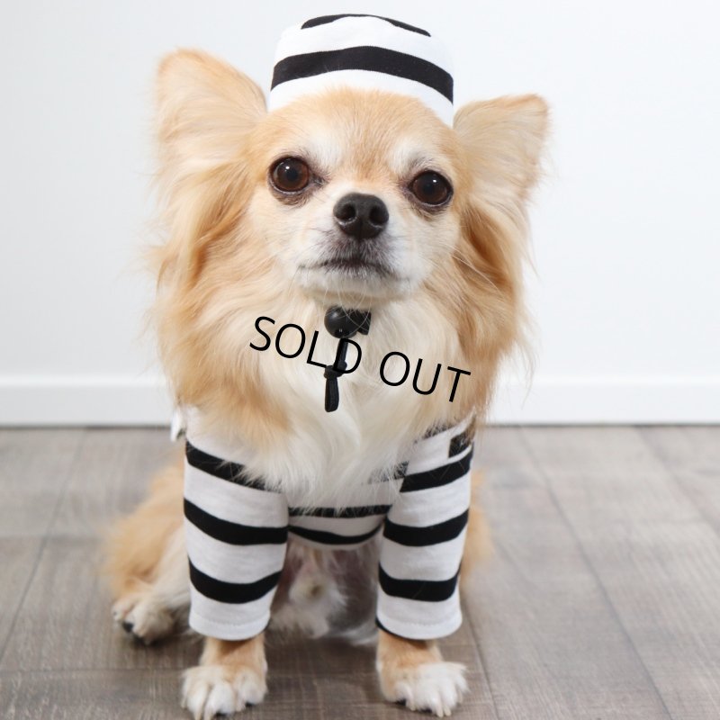 画像11: 囚人3点セット　ハロウィンアイテム期間限定販売 (11)