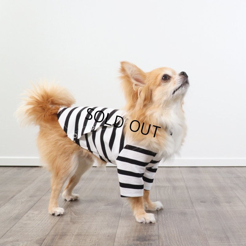 画像10: 囚人3点セット　ハロウィンアイテム期間限定販売 (10)