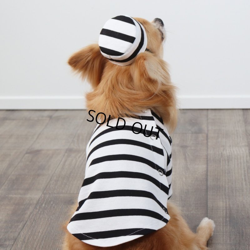 画像14: 囚人3点セット　ハロウィンアイテム期間限定販売 (14)