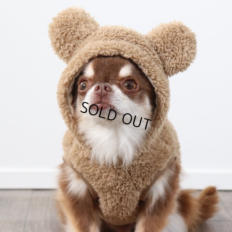 画像10: くまちゃん全身タイプ　ハロウィンアイテム期間限定販売 (10)