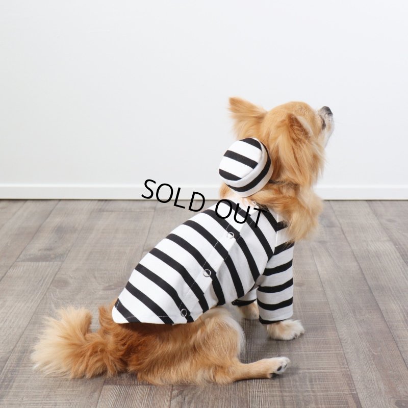 画像8: 囚人3点セット　ハロウィンアイテム期間限定販売 (8)