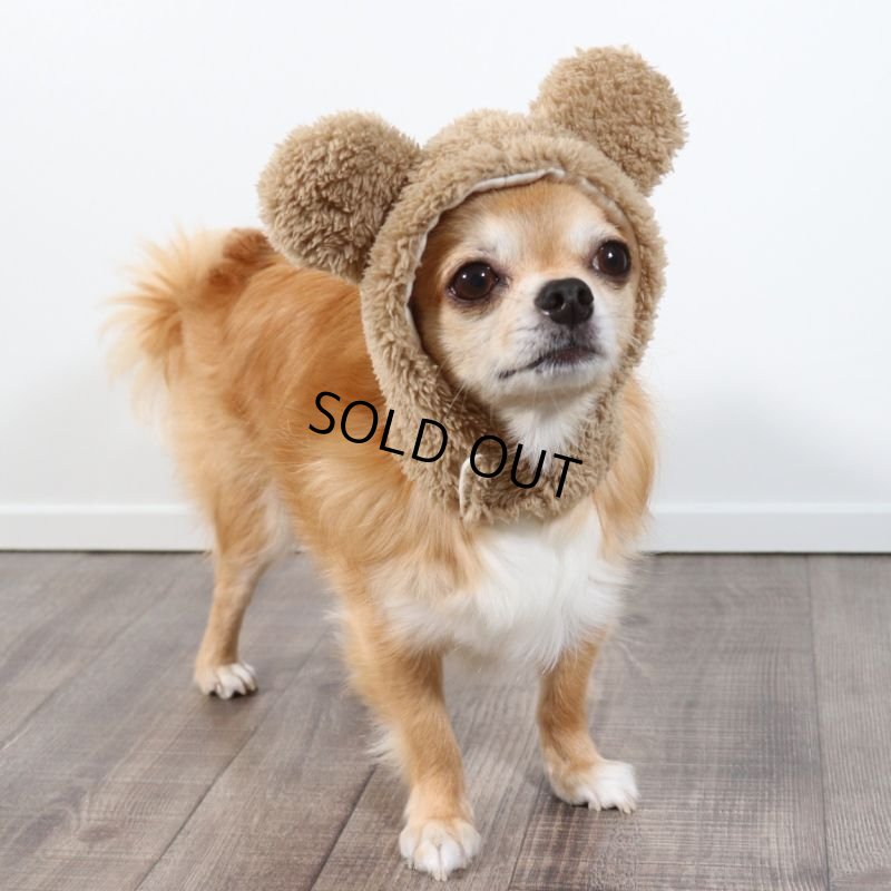 画像4: くまちゃんお顔タイプ　ハロウィンアイテム期間限定販売 (4)