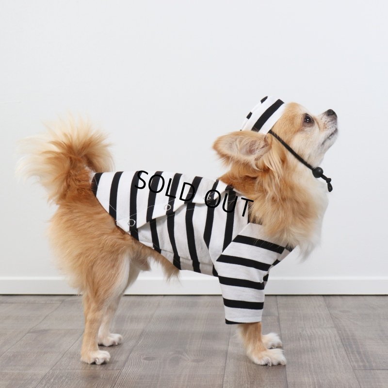 画像6: 囚人3点セット　ハロウィンアイテム期間限定販売 (6)