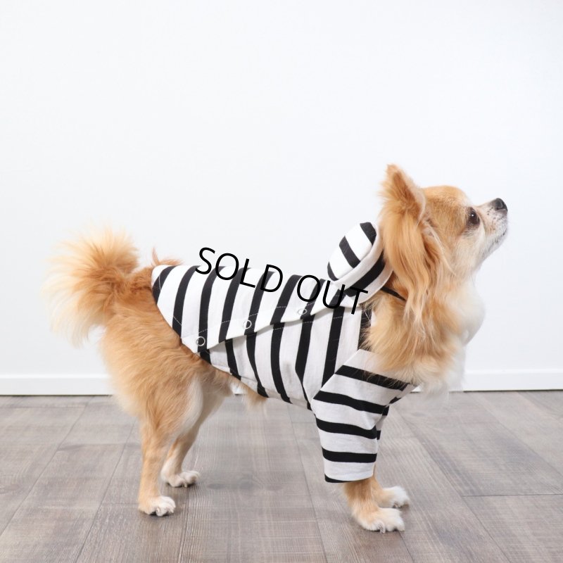 画像9: 囚人3点セット　ハロウィンアイテム期間限定販売 (9)