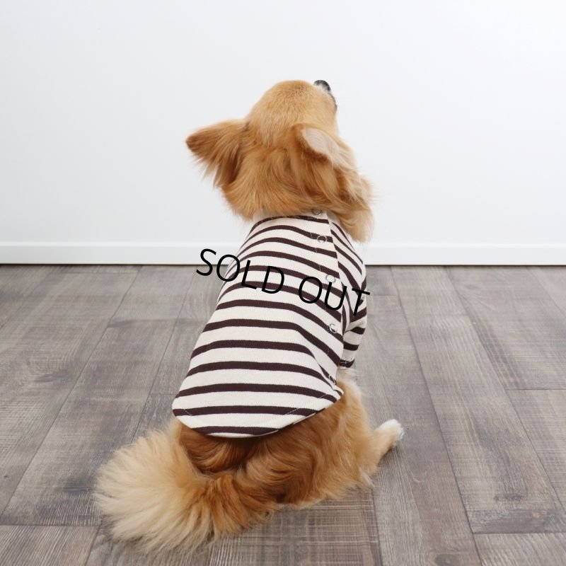 画像8: バックオープンなカットソー（ダークブラウン×生成り） (8)