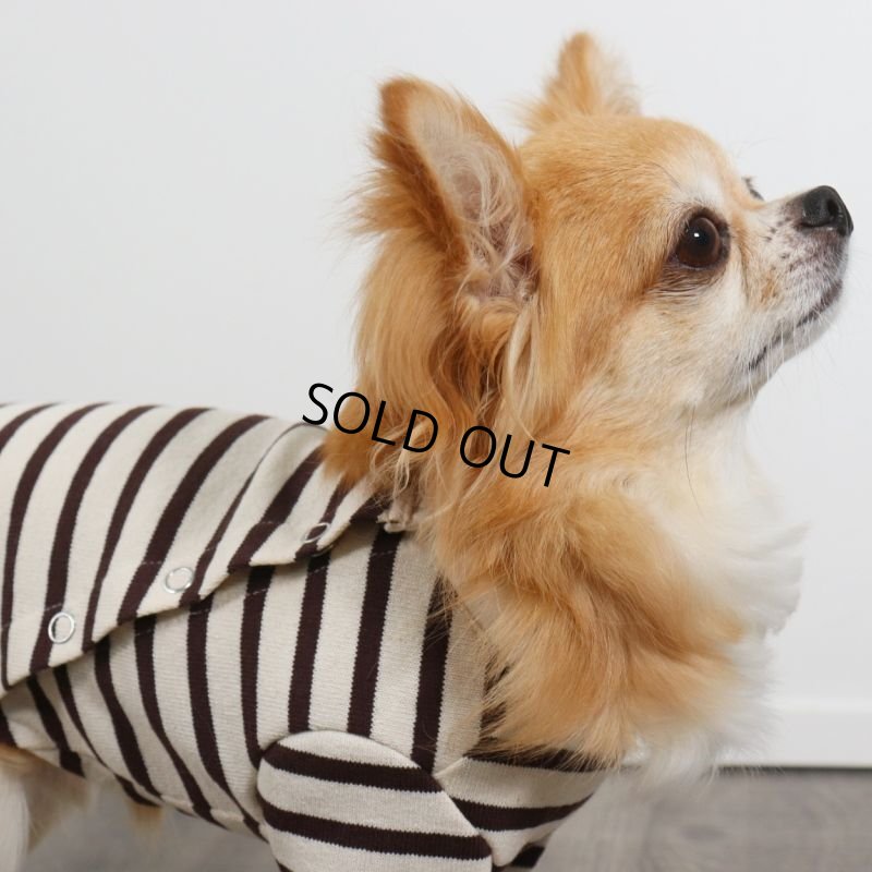 画像9: バックオープンなカットソー（ダークブラウン×生成り） (9)