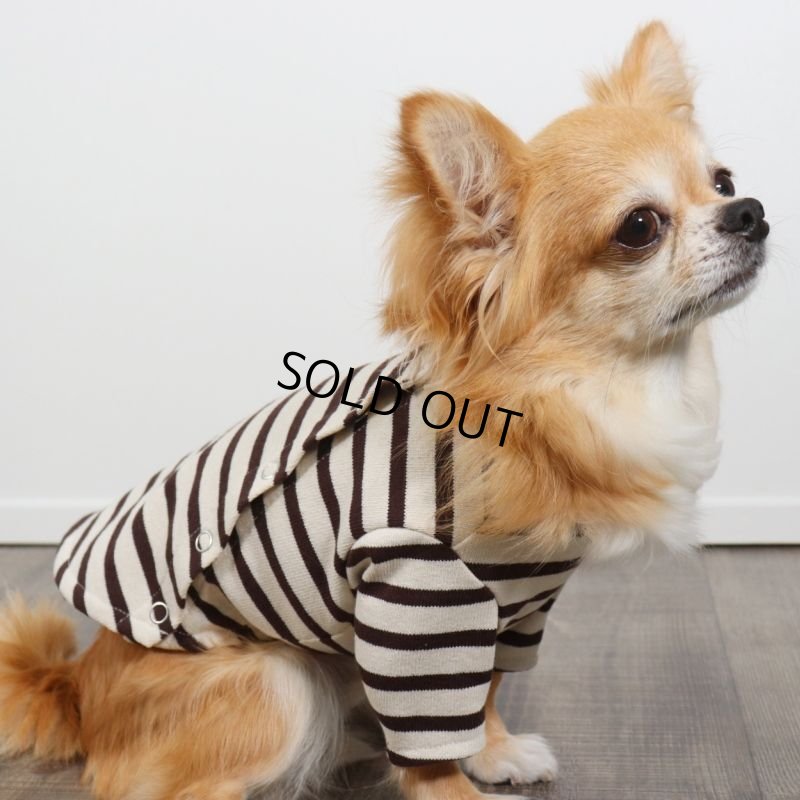 画像11: バックオープンなカットソー（ダークブラウン×生成り） (11)