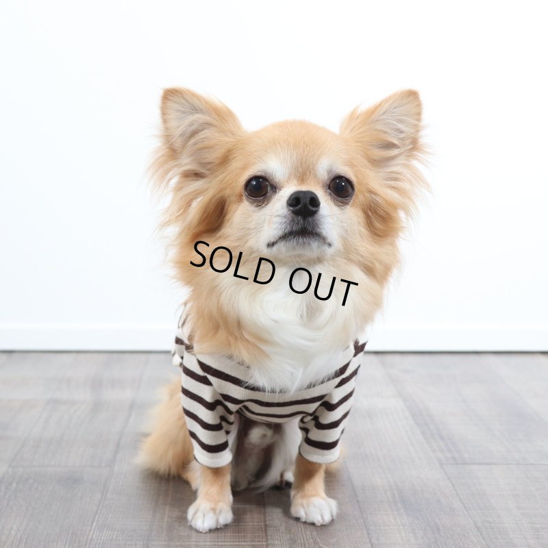 画像3: バックオープンなカットソー（ダークブラウン×生成り） (3)