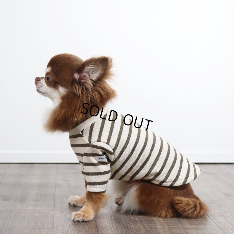 画像5: バックオープンなカットソー（カーキ×生成り） (5)