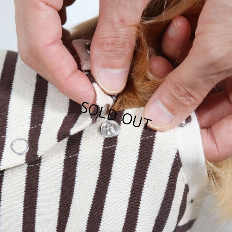 画像16: バックオープンなカットソー（ダークブラウン×生成り） (16)