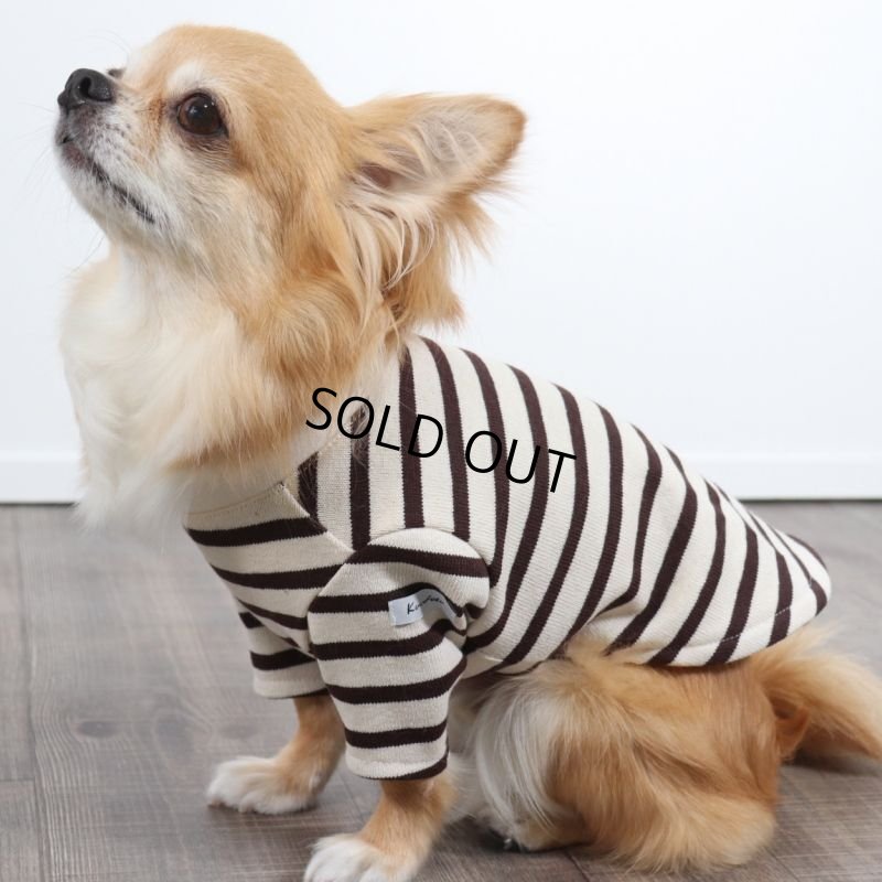 画像13: バックオープンなカットソー（ダークブラウン×生成り） (13)