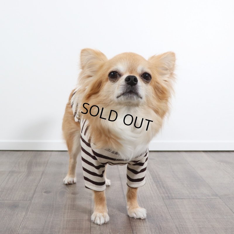 画像4: バックオープンなカットソー（ダークブラウン×生成り） (4)