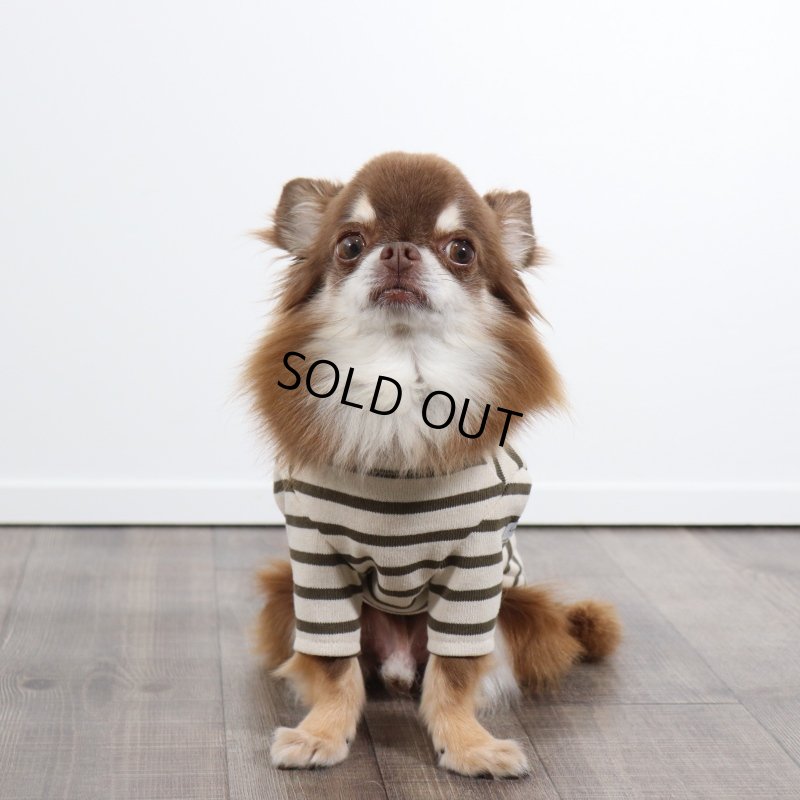 画像3: バックオープンなカットソー（カーキ×生成り） (3)