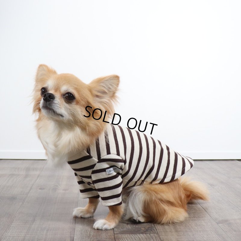 画像5: バックオープンなカットソー（ダークブラウン×生成り） (5)