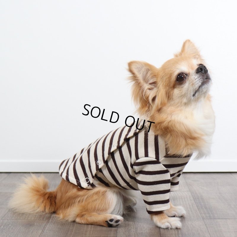 画像1: バックオープンなカットソー（ダークブラウン×生成り） (1)