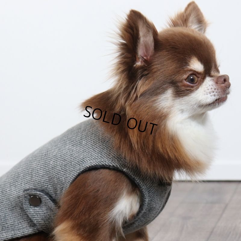 画像11: コットンツイードコート（グレー）※お洋服が苦手なわんちゃんやシニアなわんちゃんにもおすすめです (11)