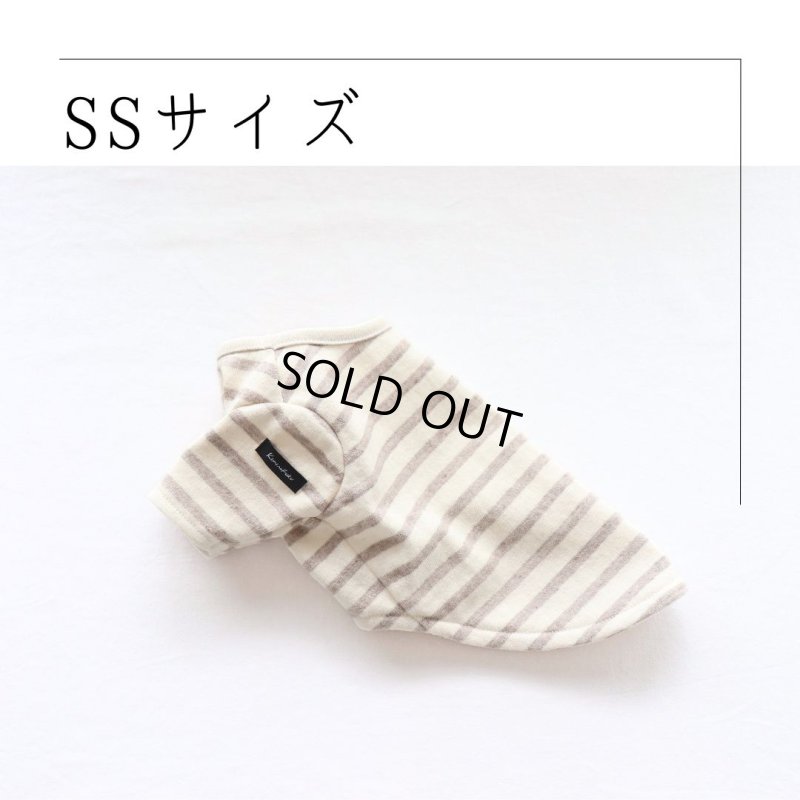 画像1: [完成品] スモーキーボーダーカットソー（セピア） (1)